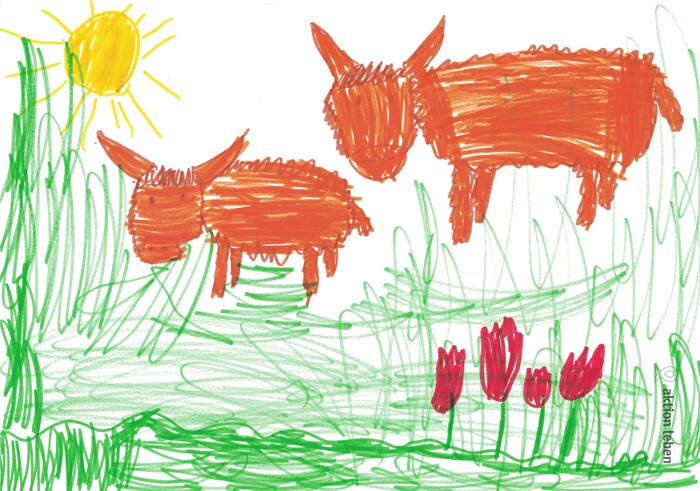 Noah, 6, Wien